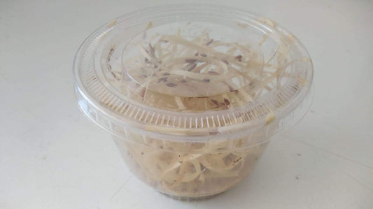 La recette du substrat pour drosophiles