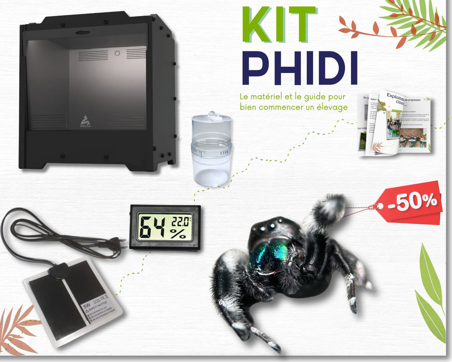 Kit de cría - Mantis (religiosa)