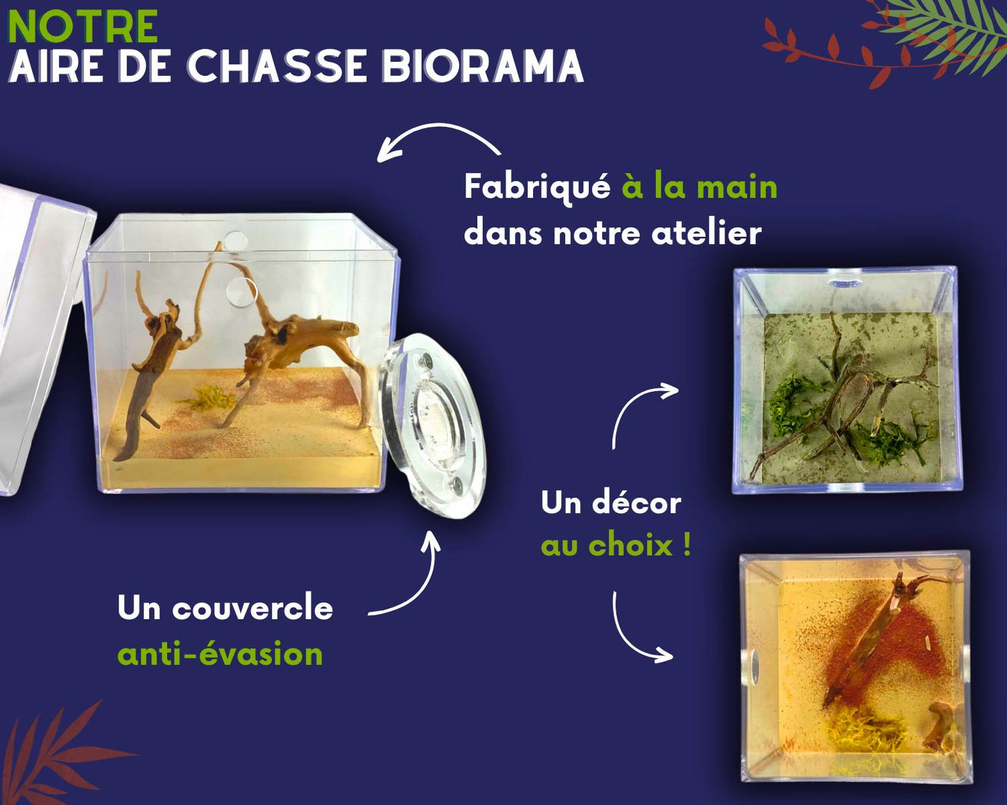 Aire de chasse fourmis
