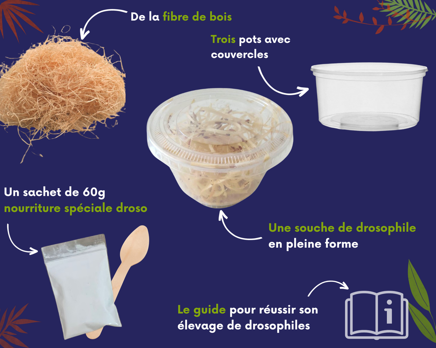 Kit de cría de Drosophila