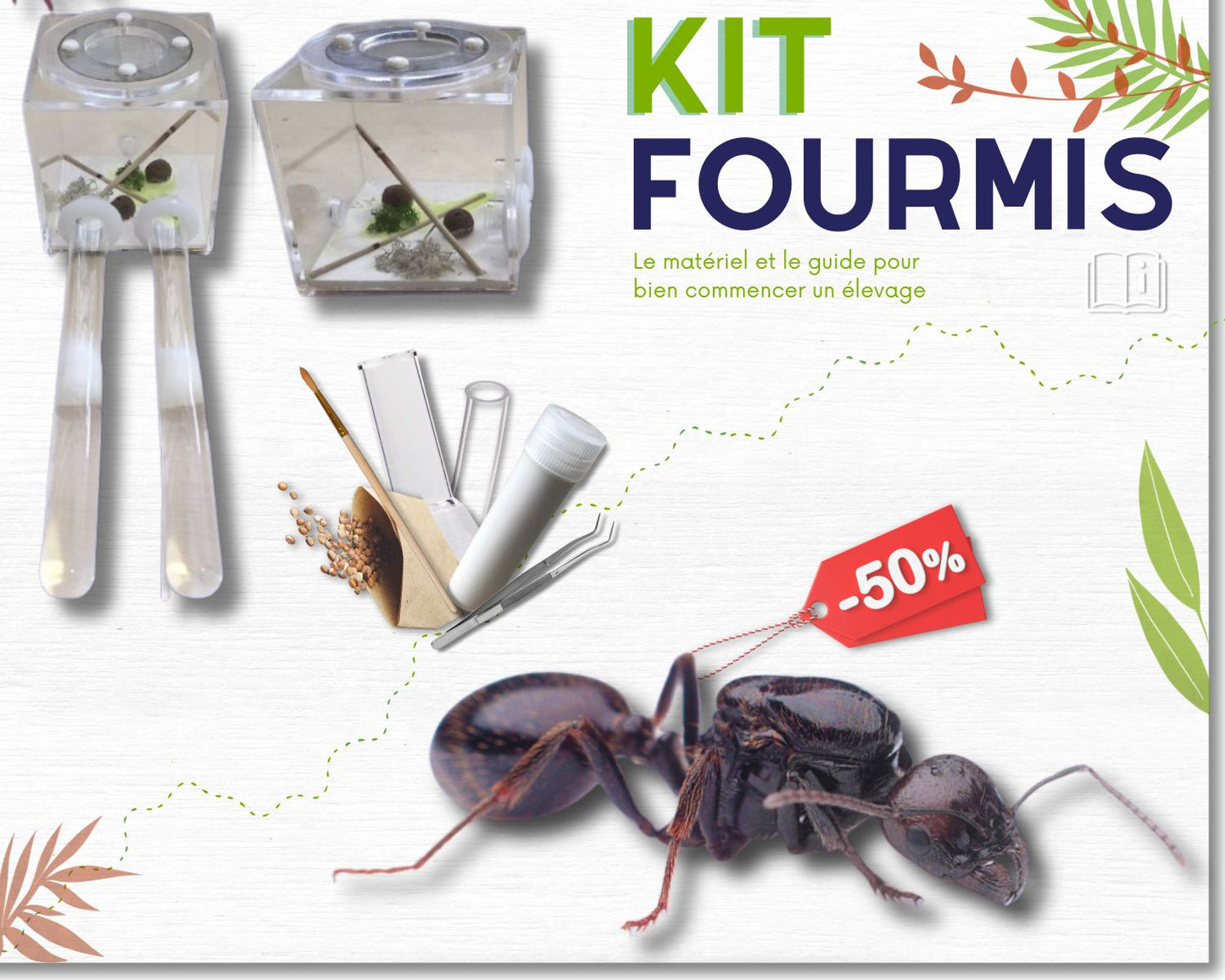 Kit de cría de hormigas - Paquete básico