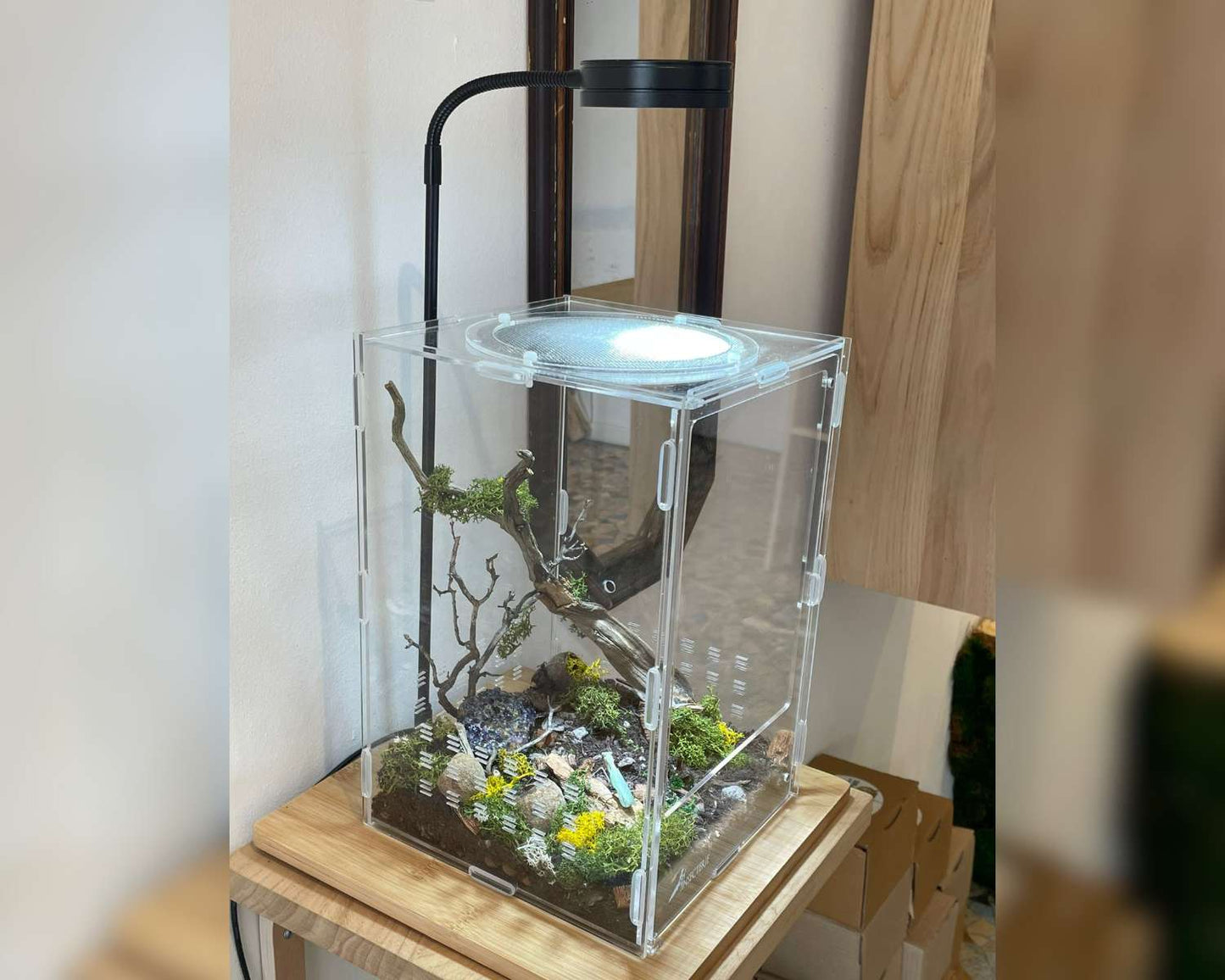 Lámpara Vivarium con Soporte de Bambú