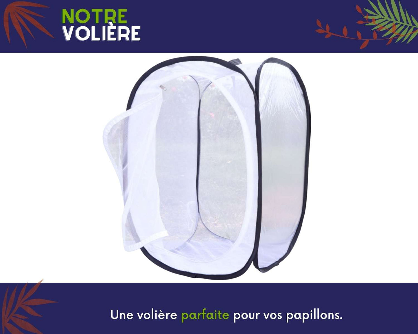 Kit de cría - Mariposas