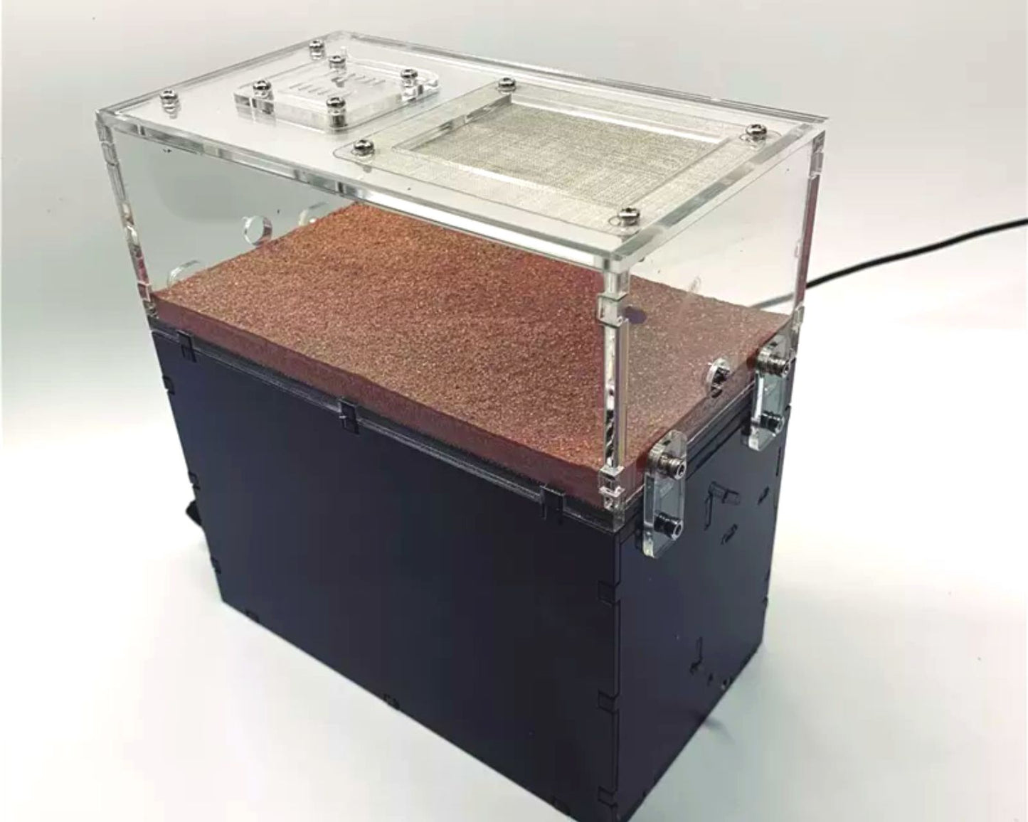 Hormiguero Con LED + Zona De Caza - Gran Formato