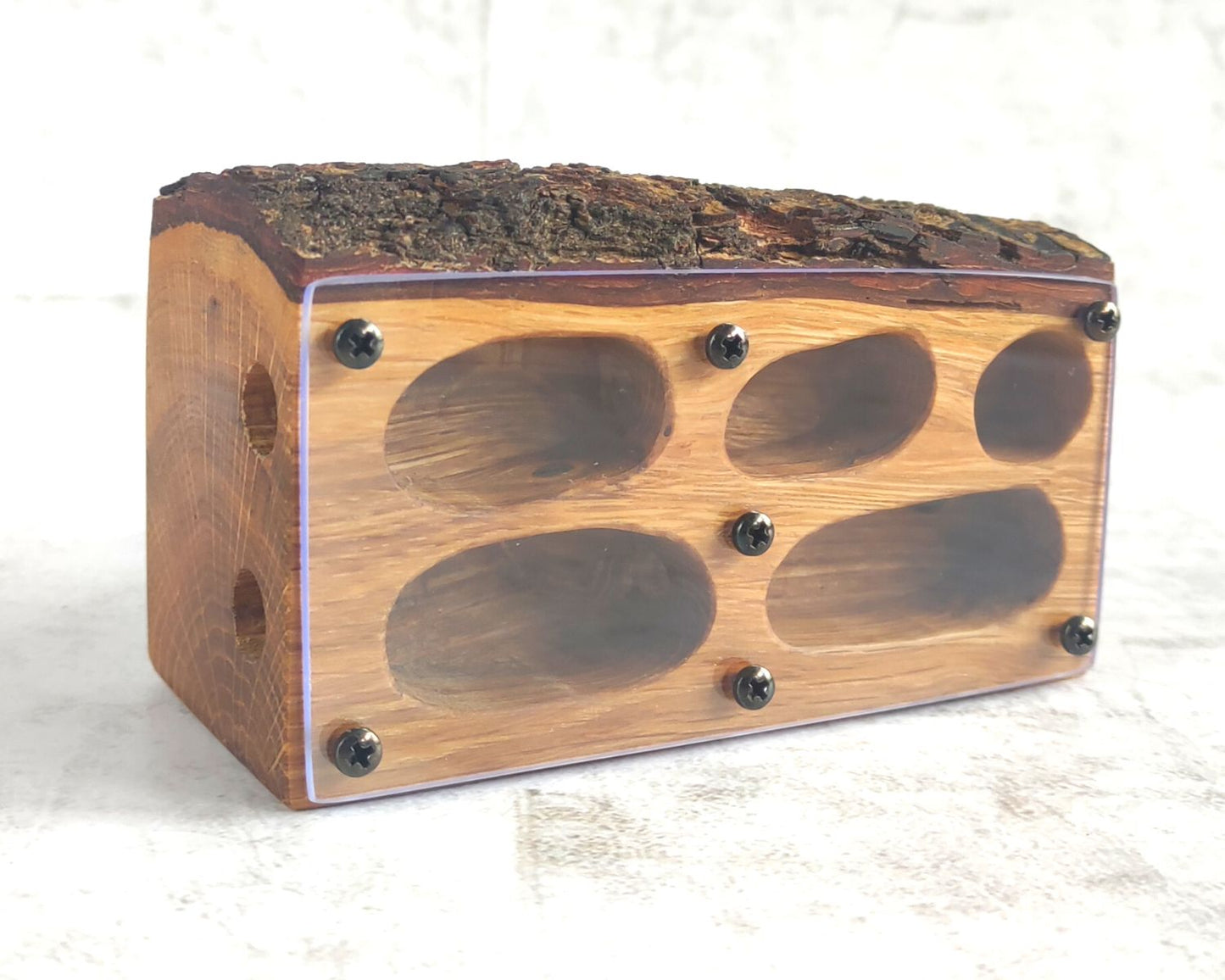 Hormiguero de madera 11 x 6 cm