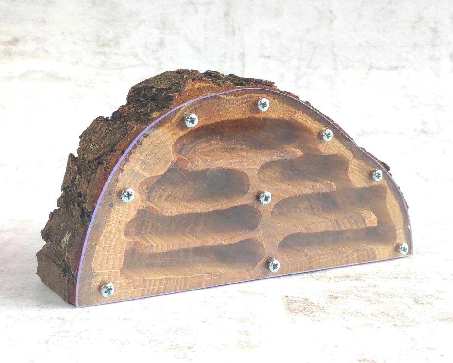 Hormiguero de madera semicírculo 17 x 8cm