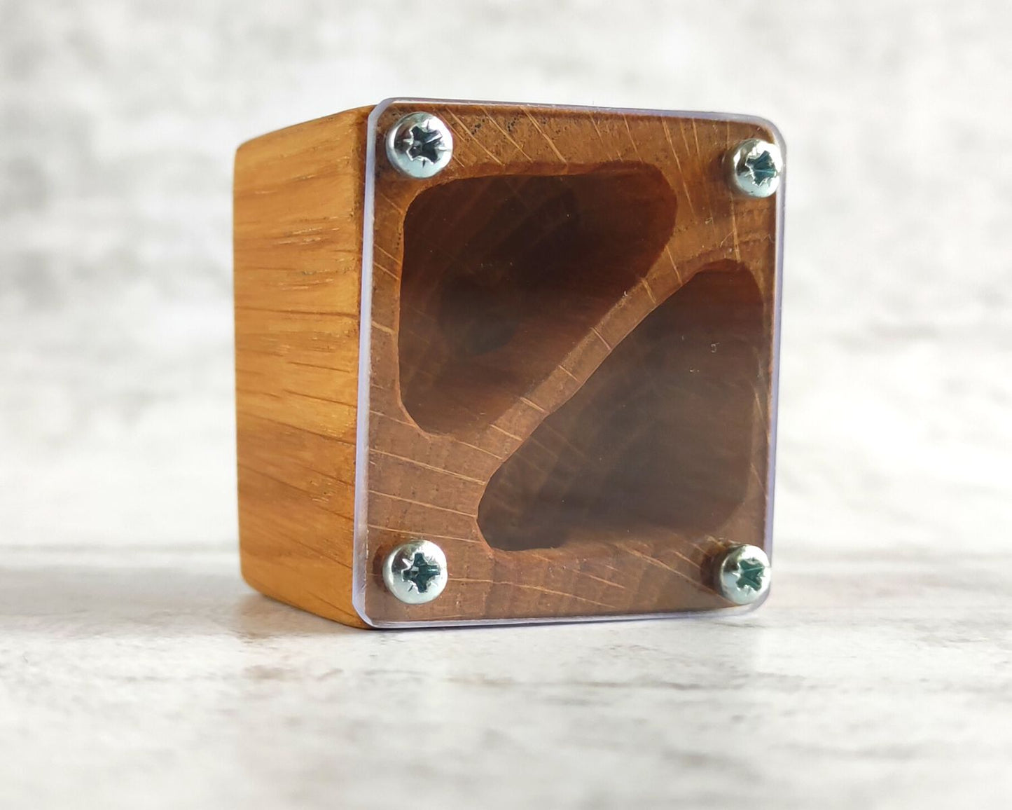 Hormiguero de madera 5 x 5 cm