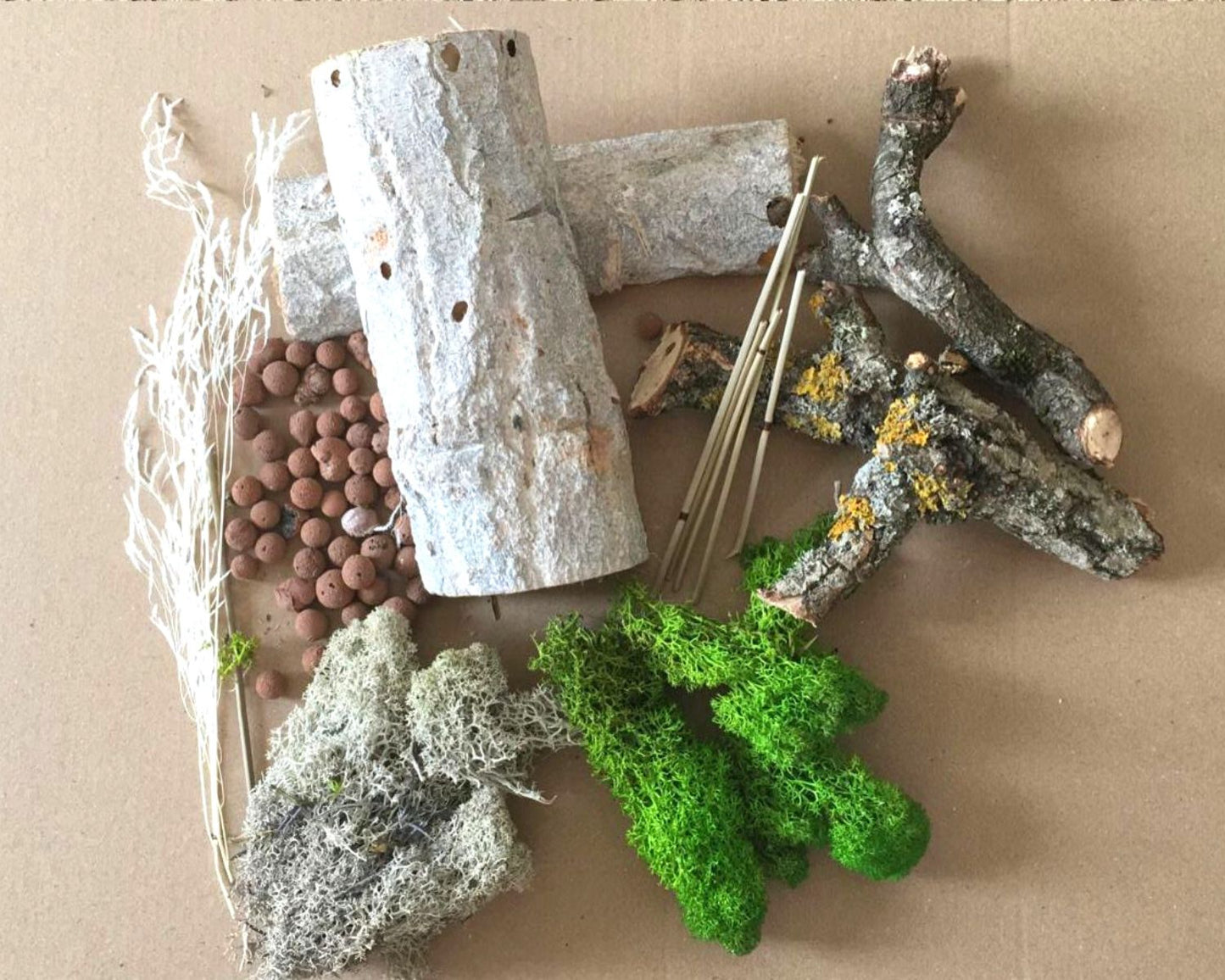 Kit de decoración para vivarios de insectos