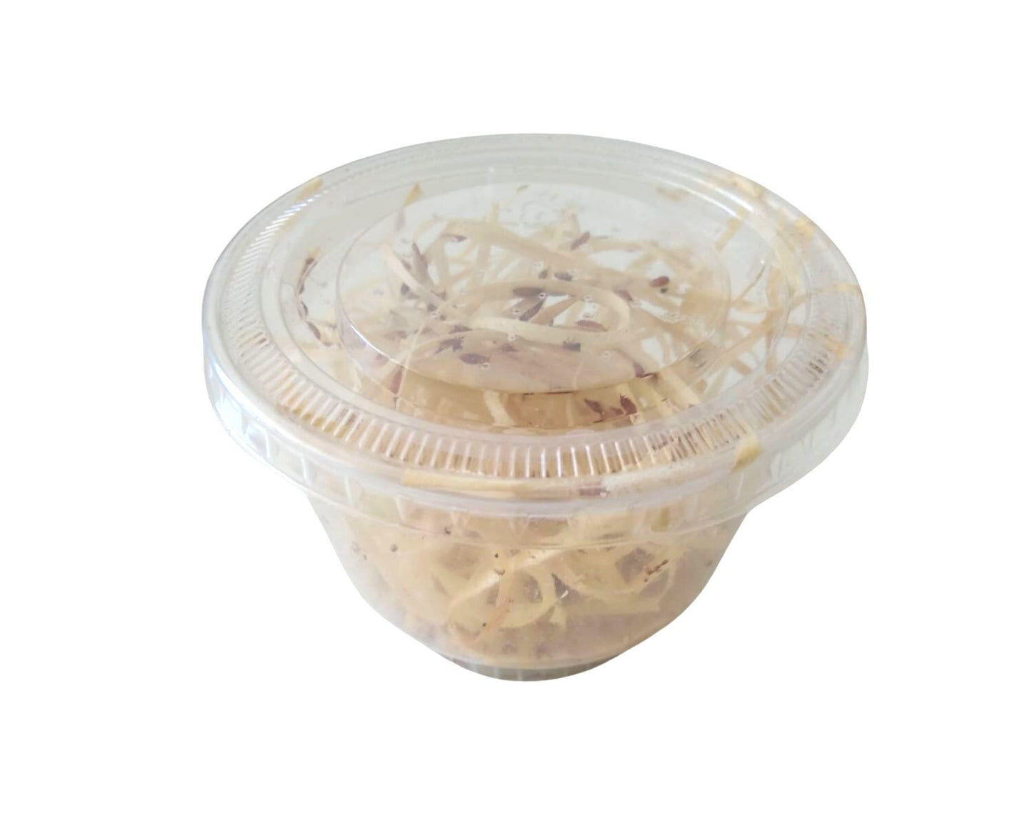 Drosófilas - Presas de insectos