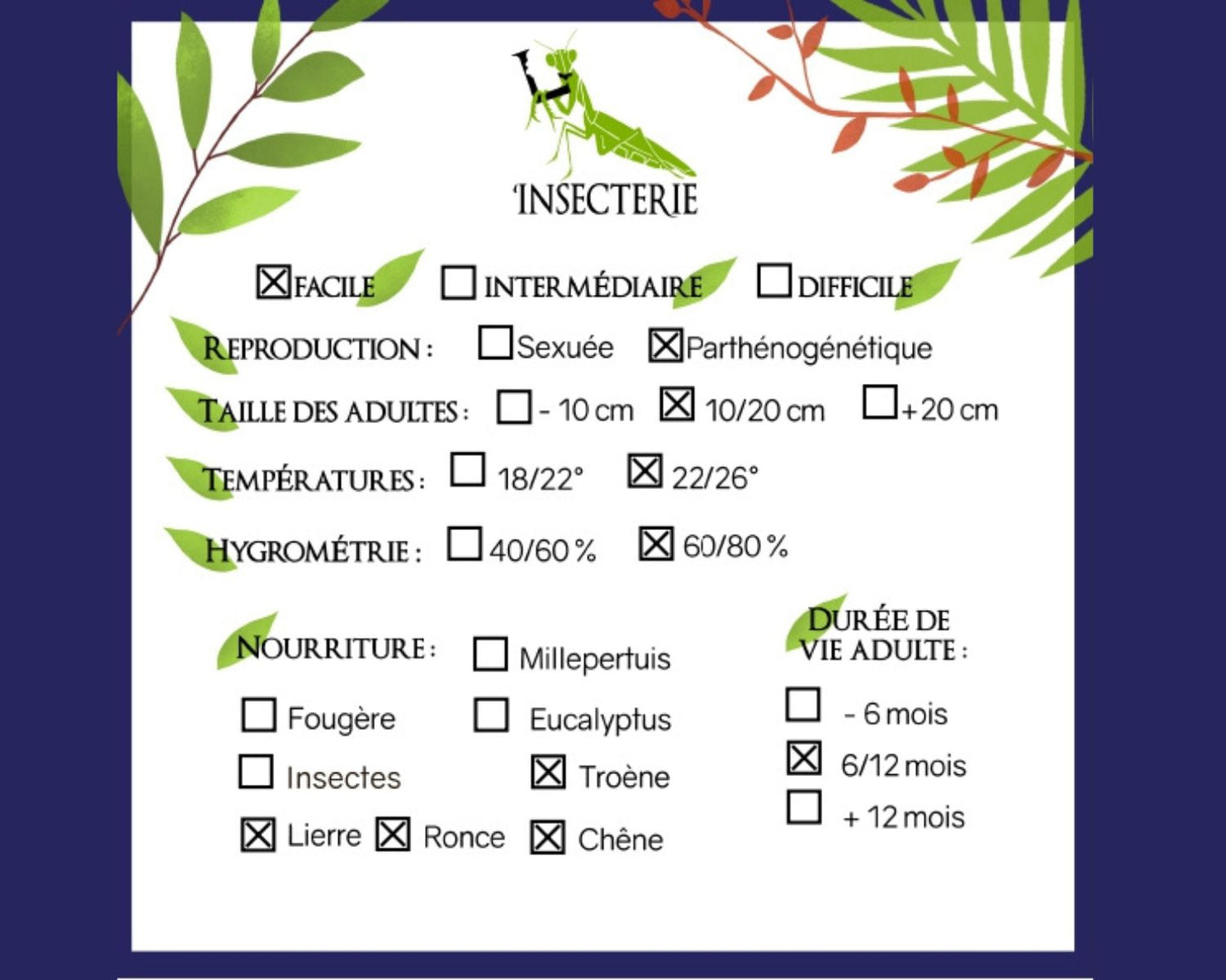 Fásmidos - Gigas « Jailolo »