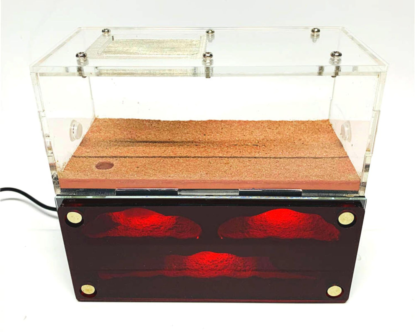 Hormiguero con LED integrado + Zona de caza