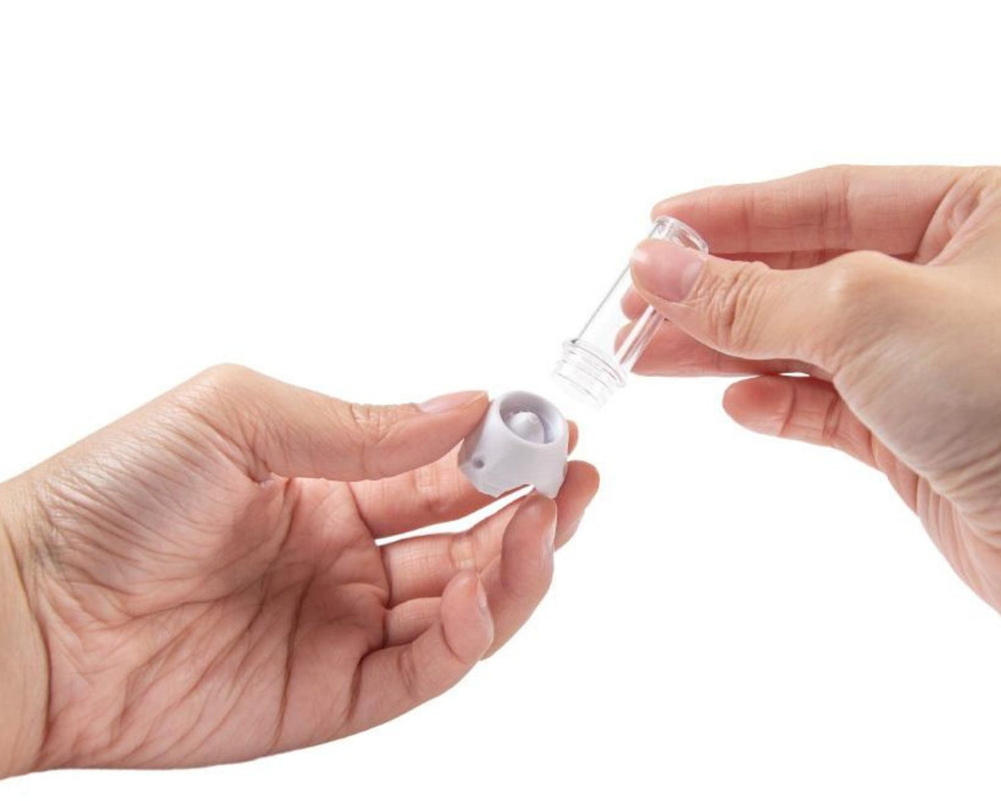 Bebedero de hormigas