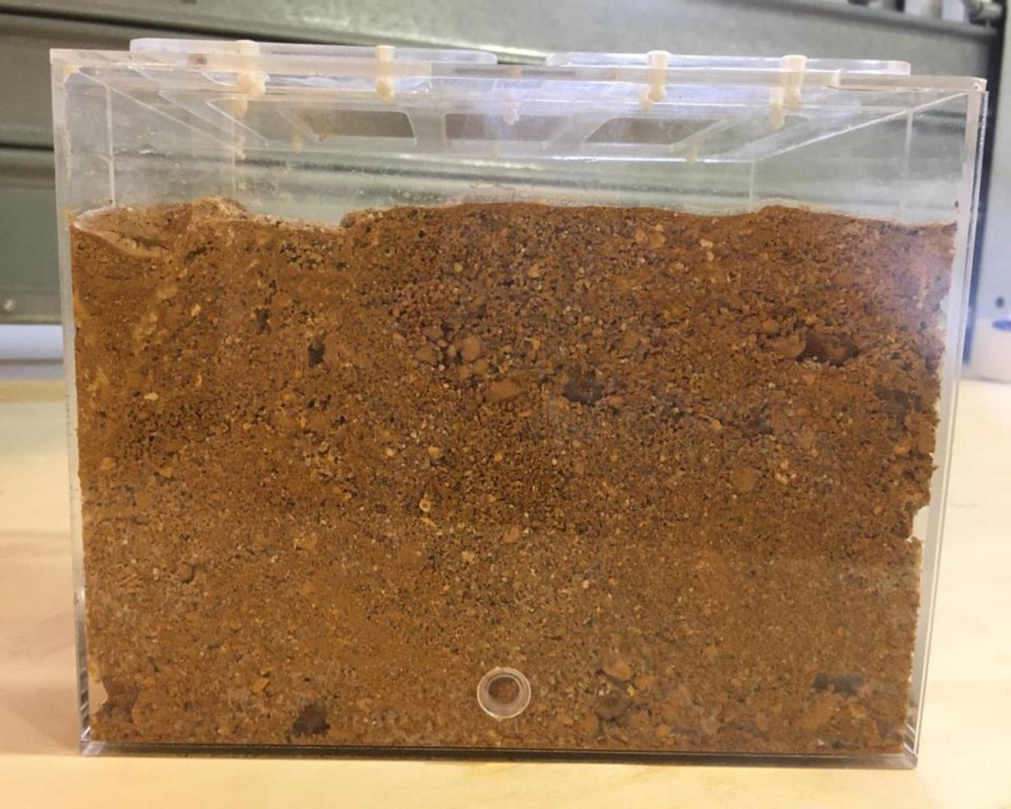 Hormiguero excavadoras