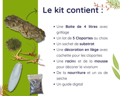 Kit de cría de cochinillas - Cubaris Panda king