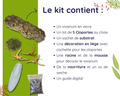 Kit de cría de cochinillas - Cubaris Panda king