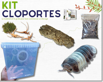 Kit de cría de cochinillas - Cubaris Panda king