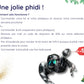 Kit Cadeau - Phidippus - Noel 2025