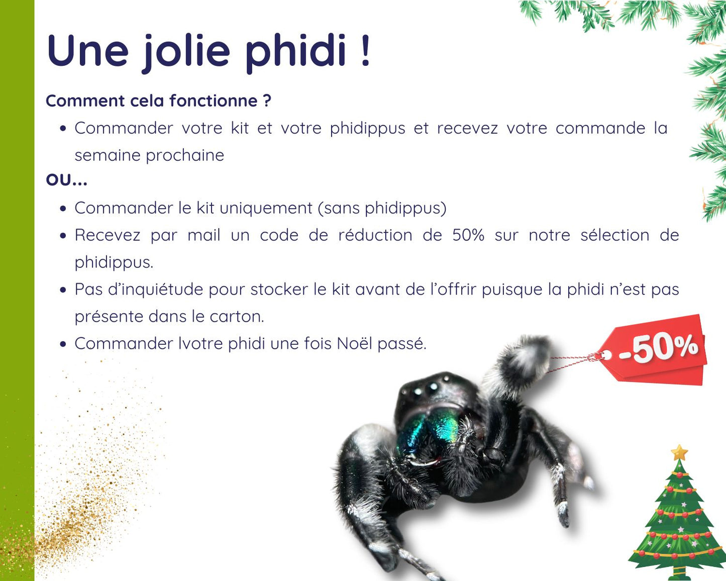Kit Cadeau - Phidippus - Noel 2025