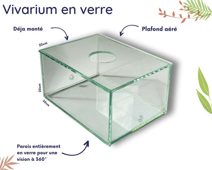 Kit de cría de cochinillas - Cubaris Panda king