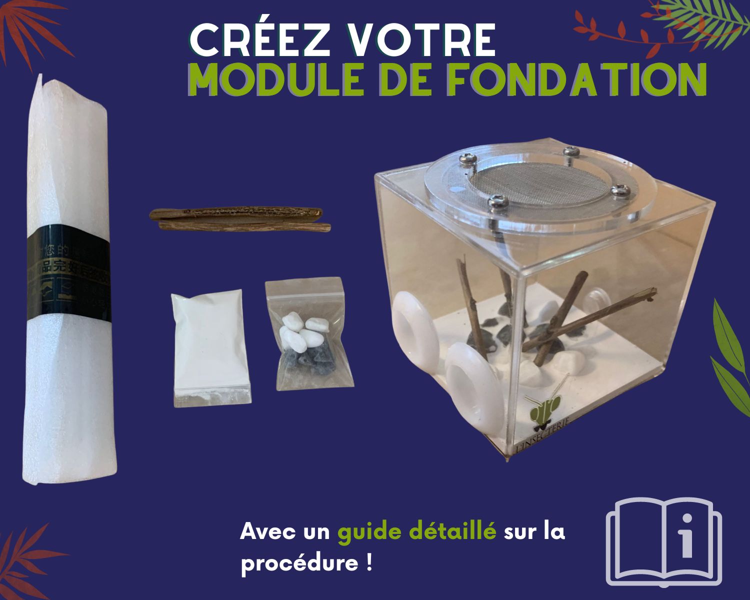 Module de fondation fourmis 