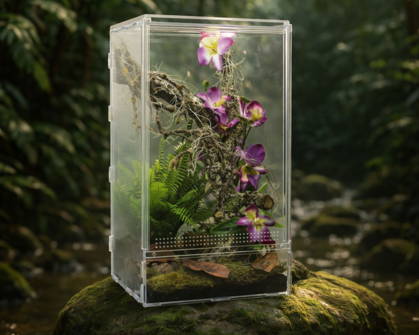 Vivario de insectos - Mantis