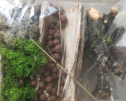 Kit de decoración para vivarios de insectos