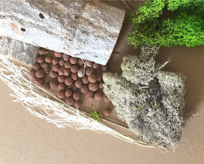 Kit de decoración para vivarios de insectos