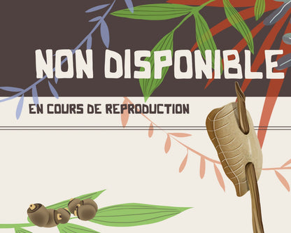 Mantis - Hierodula majuscula